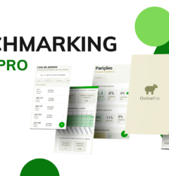 benchmark ovinopro