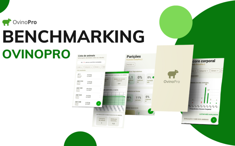 benchmark ovinopro